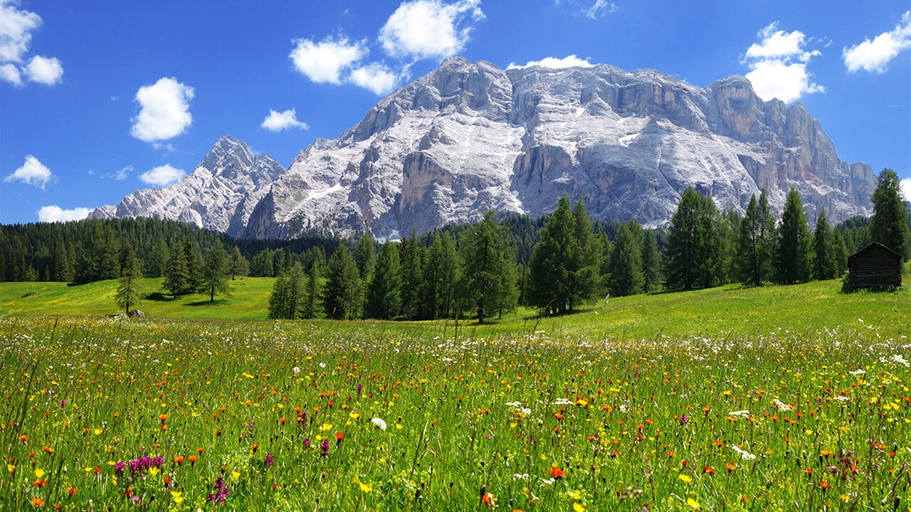 Armentara Meadows - Alta Badia